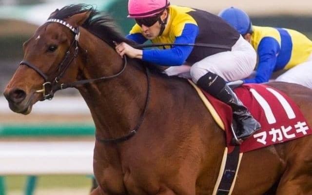 のちのダービー馬マカヒキの重賞初勝利から10年 3強対決となった16年弥生賞を振り返る