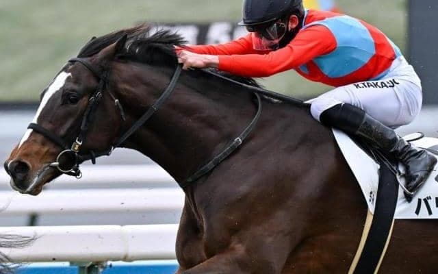 【弥生賞】デビュー3年目の高杉吏麒騎手 バリオスで重賞初制覇なるか