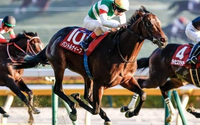 【弥生賞予想オッズ】パントルナイーフが予想1番人気