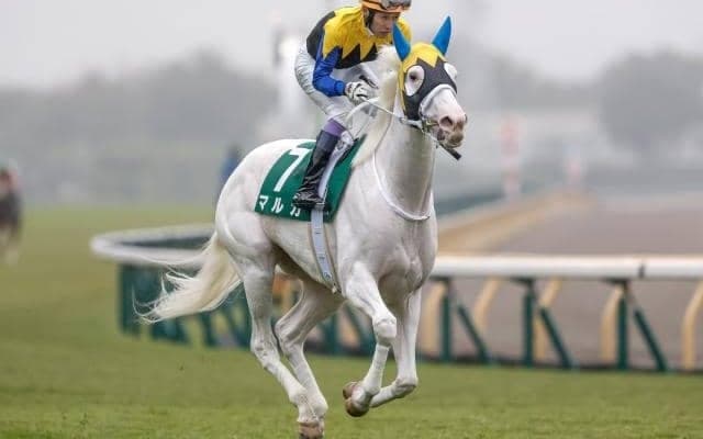 【フィリーズレビュー予想オッズ】マルガが予想1番人気