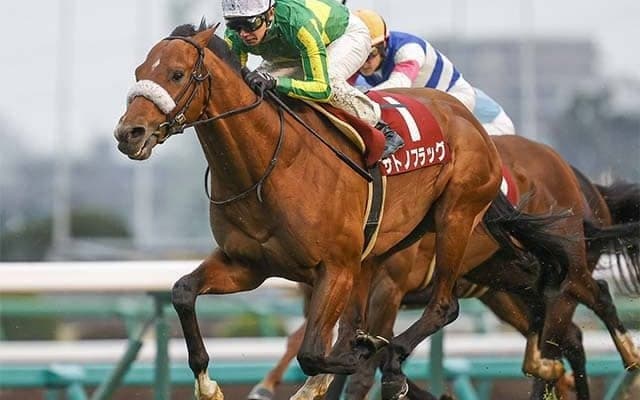 武豊騎手とディープ産駒サトノフラッグが勝利 改称初年度の弥生賞ディープインパクト記念を振り返る