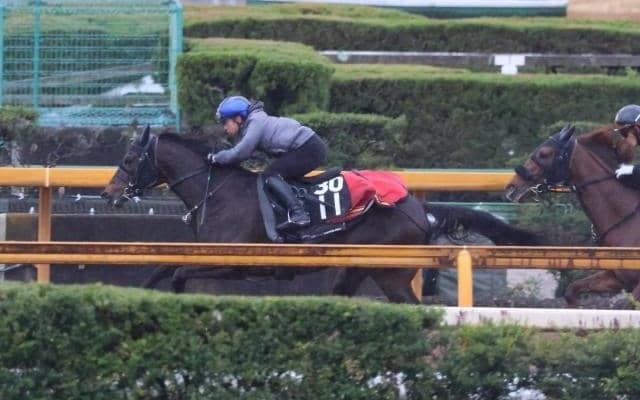 アスクエジンバラ、スプリングS1週前追い切り速報/栗東トレセンニュース
