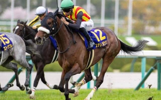 【中山牝馬S】24年桜花賞馬のステレンボッシュ 17年ぶりのGI馬の戴冠なるか