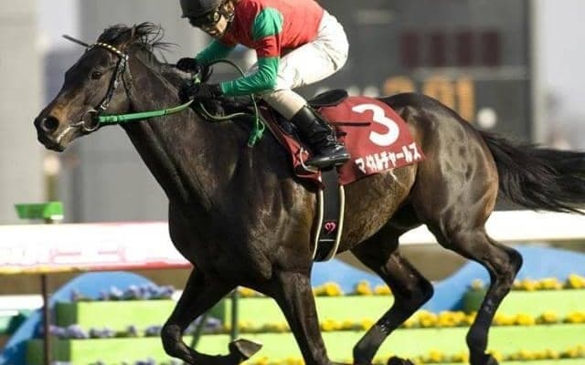 クラシックを賑わせたラフィアン所属馬 マイネルチャールズが制した08年弥生賞を回想