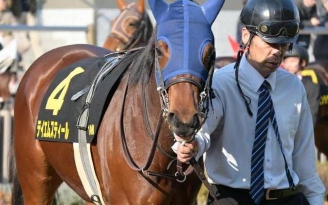 【フィリーズレビュー】開業3年目の高橋一哉調教師 テイエムスティールで重賞初制覇狙う