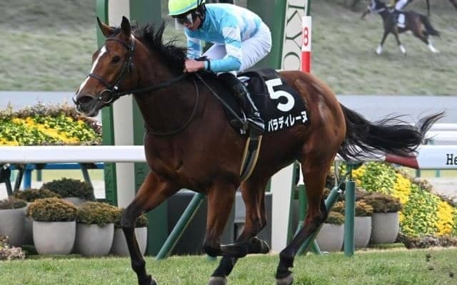 【中山牝馬S出走馬・騎手確定】パラディレーヌ＆岩田望来騎手、ボンドガール＆岩田康誠騎手など16頭