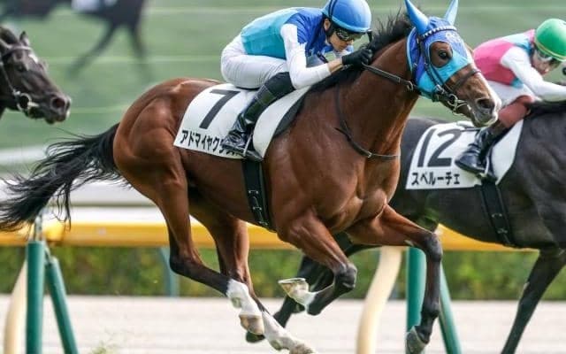 【弥生賞出走馬・騎手確定】アドマイヤクワッズ＆坂井瑠星騎手、ライヒスアドラー＆佐々木大輔騎手など10頭