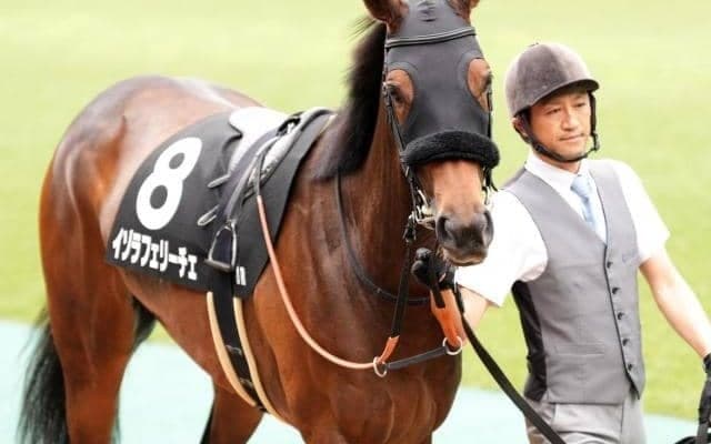 半兄は21年の年度代表馬エフフォーリア イゾラフェリーチェが約2年ぶりの勝利狙う