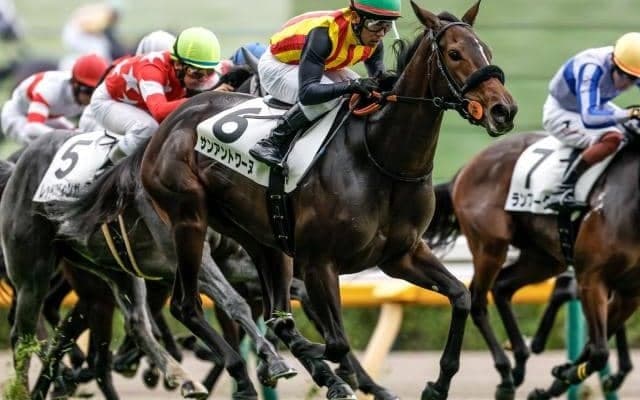 【フィリーズレビュー出走馬・騎手確定】サンアントワーヌ＆荻野極騎手、ショウナンカリス＆池添謙一騎手など18頭