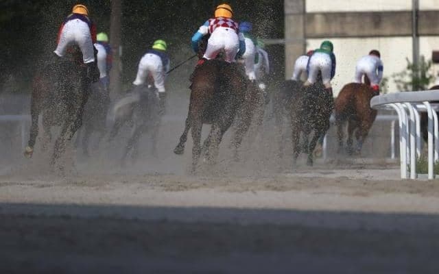 【笠松・ジュニアグローリー結果】1番人気ミモザノキセツが重賞3勝目を挙げる