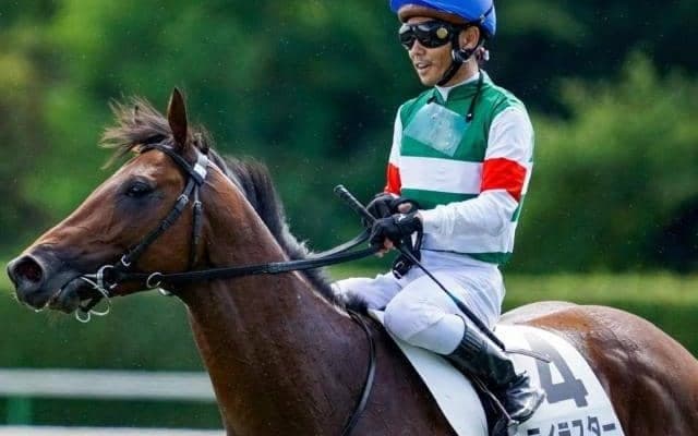 母は名牝ハープスター ライラスターが障害デビューだ