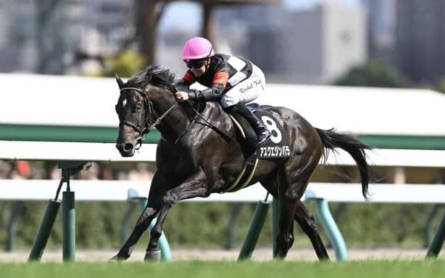 【スプリングS想定馬・騎手】アスクエジンバラ、クレパスキュラーなど18頭