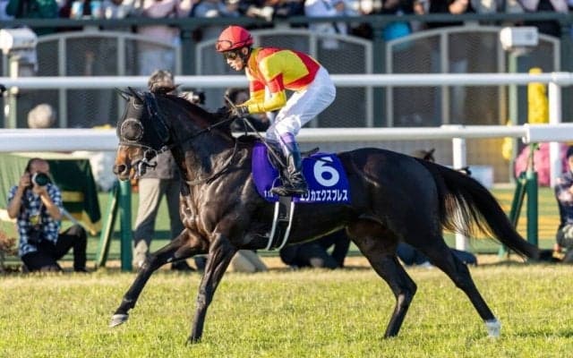【武豊日記】桜花賞につながる走り