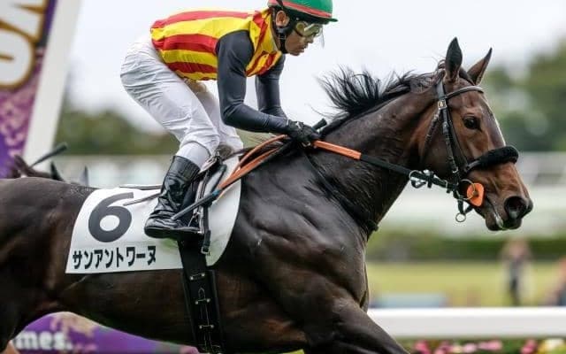 【今日の注目ポイント】フィリーズレビューと中山牝馬S