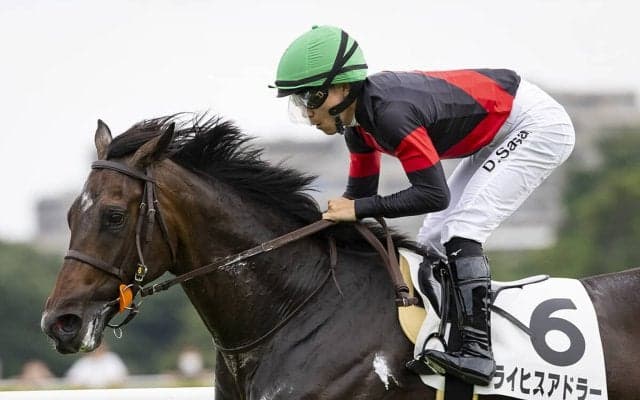 【競馬予想】アドマイヤクワッズが有力視される弥生賞　逆転あるなら皐月賞の出走権をもぎ取りにくる有力１勝馬