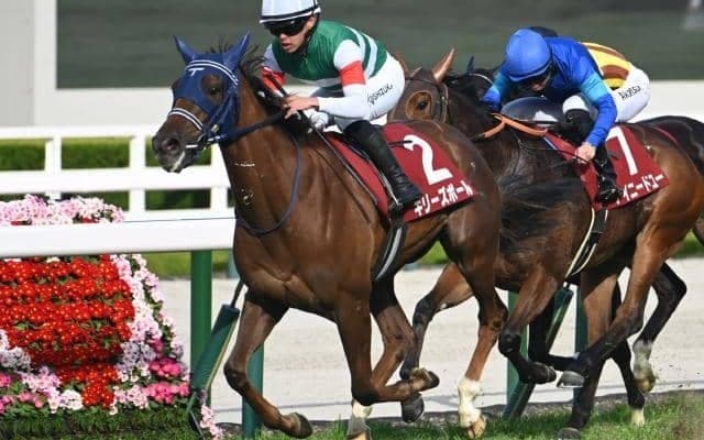 【フィリーズレビュー結果】10番人気ギリーズボールが快勝 前走13着から巻き返し重賞初V