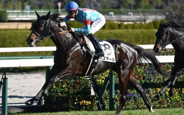 【弥生賞予想】前走でオープン特別以上の競馬を経験している馬が有利!? 過去の傾向や特徴から人気でも軽視したい一頭とは