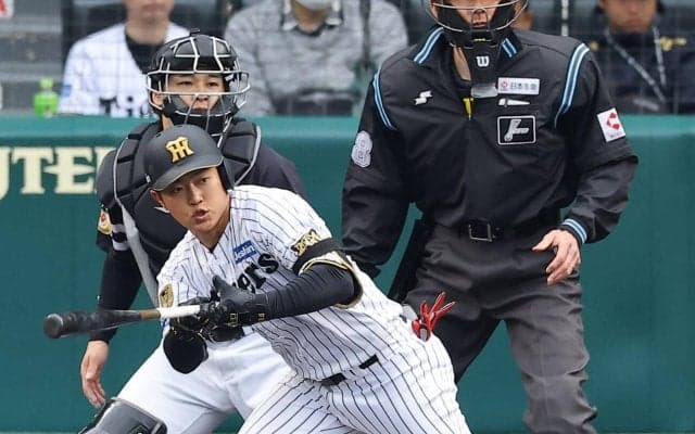 【阪神】中川勇斗が決勝打「思い切ってプレー」浜田太貴はOP戦打率３割超…左翼候補がアピール