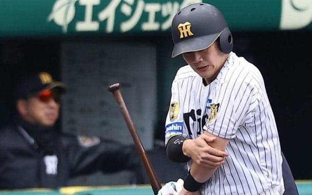 【阪神】伏見寅威「プロ野球記録ですか？」実戦３打席連続死球　守では大竹＆高橋を無失点リード
