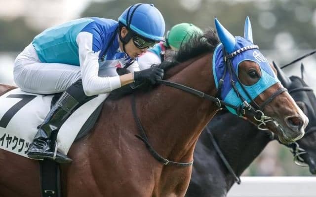 【AI予想・弥生賞】前走が負けて強しと言える走り！ 出走馬の中で唯一の重賞勝ち馬に人工知能も逆らえず