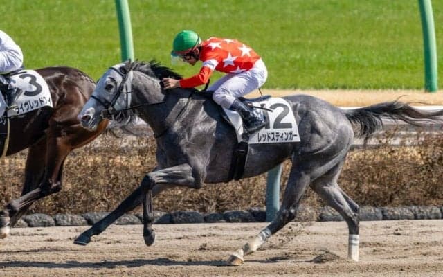 【中山7R】レッドスティンガーが人気に応えて2勝目