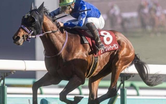 弥生賞は8枠に注意 人気薄でも押さえるべき条件とは