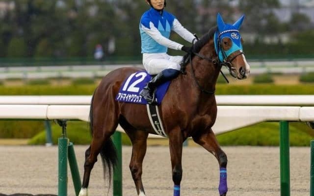 【弥生賞予想】狙える「枠」「前走」「脚質」は？ 過去データから探るGII弥生賞