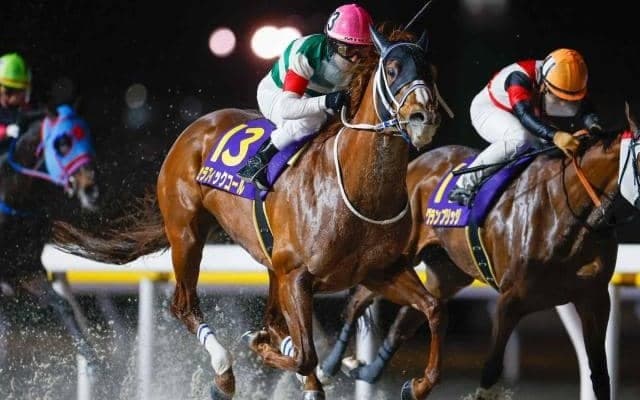 【船橋・ダイオライト記念枠順】3連覇がかかるセラフィックコールは1枠1番