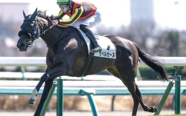 【中山5R結果】初出走のラベルセーヌが5馬身差V 3連単300万超の波乱呼ぶ