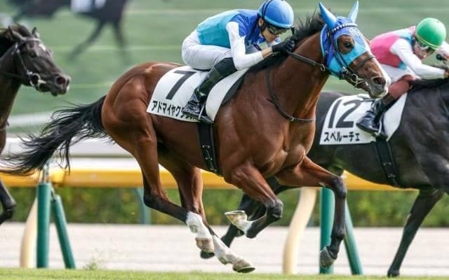 【弥生賞・馬体重】アドマイヤクワッズは480kg(+2)、ライヒスアドラーは512kg(±0)