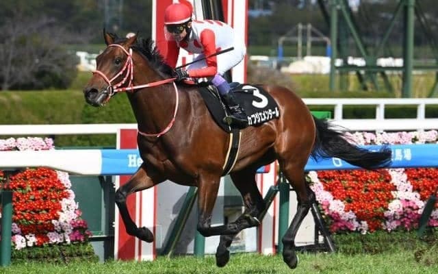 【アルメリア賞結果】カフジエメンタールが3馬身半差の圧勝で初勝利飾る