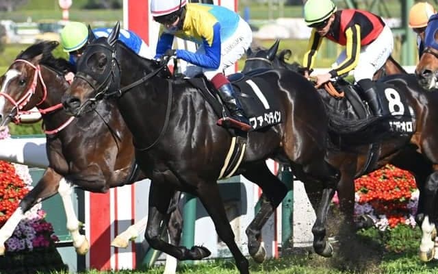 【JRA・WIN5】本日のWIN5は的中20票、配当3395万990円