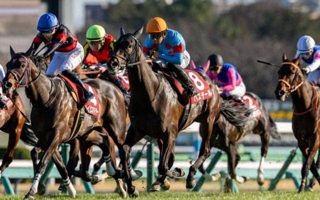 【弥生賞】バステールが突き抜ける！アドマイヤクワッズは3着