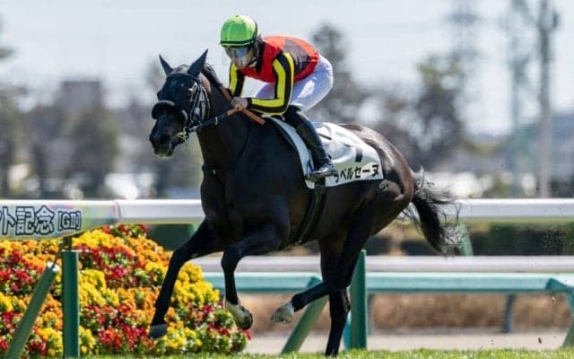 【中山5R】ラベルセーヌが初出走、初勝利！既走馬相手に5馬身差圧勝