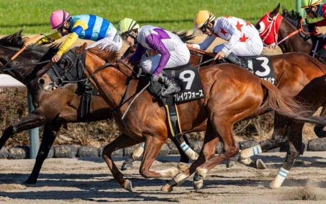 【総武S】ブレイクフォースがゴール寸前差し切り…白毛のアマンテビアンコは7着