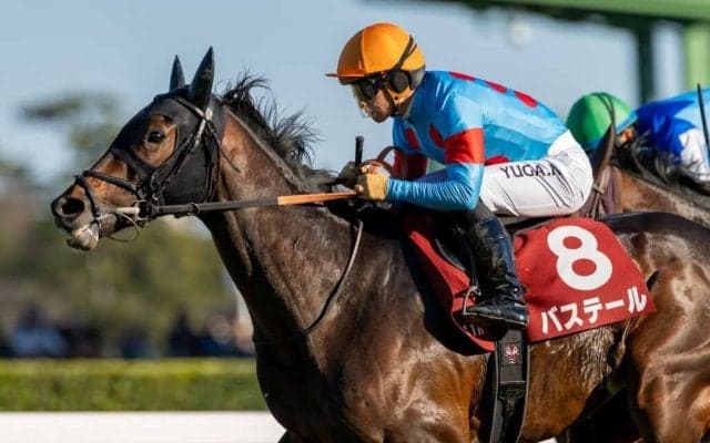 【弥生賞】川田「よく走れました」バステールが重賞初制覇