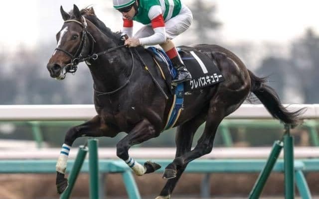 スプリングS、金鯱賞など3重賞/今週の競馬界の見どころ