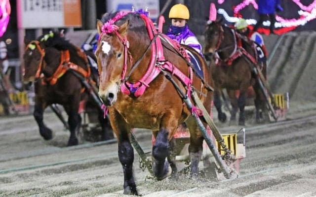 【ばんえい・ポプラ賞】阿部優哉騎手がデビュー93日で重賞初制覇の快挙