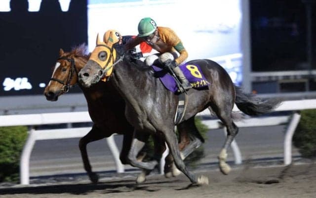 【高知・土佐春花賞】逃げる1番人気を捕らえる！カツテナイオイシサがゴール前で差し切りV