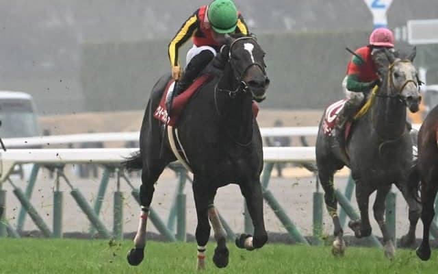 【金鯱賞見どころ】クイーンズウォークの連覇なるか