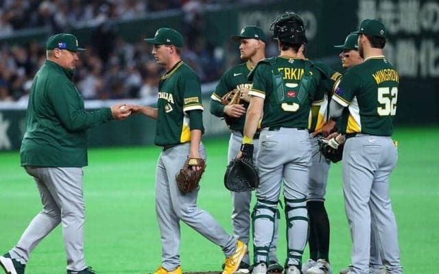 侍Jに惜敗は「胸が張り裂ける思い」　豪州記者が明かした胸中「全国民が誇りに思える」