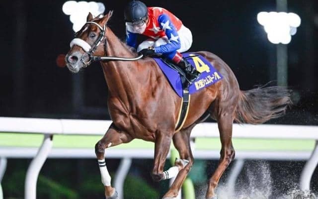 【船橋・ネクストスター東日本枠順】前走重賞Vのベイビークエストは1枠1番