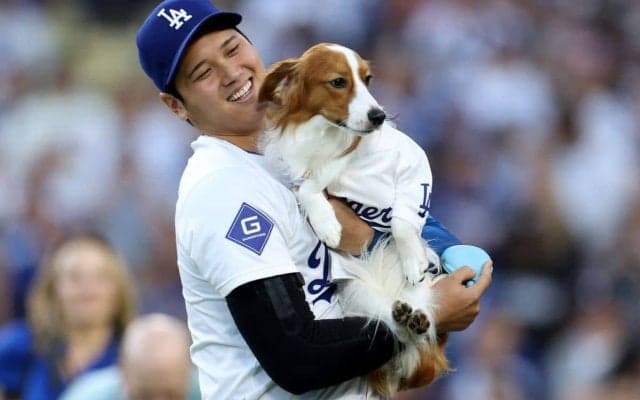 「犯人は自分なんだよなぁ」大谷翔平が公開したデコピンの“物憂げな表情”…「ギャップが可愛すぎますね！」