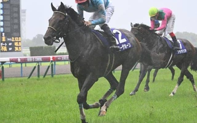 【先週のJRA抹消馬】一昨年の宝塚記念勝ち馬ブローザホーン、24年フェブラリーS覇者ペプチドナイルなど