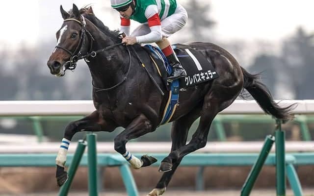 【スプリングS想定騎手】クレパスキュラーはC.ルメール騎手、アスクエジンバラは岩田康誠騎手
