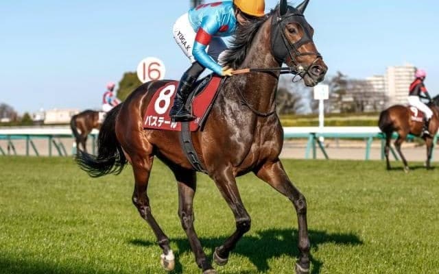 弥生賞Vのバステールは父キタサン×母方にヌレイエフ 血統背景はイクイノックスと同パターン