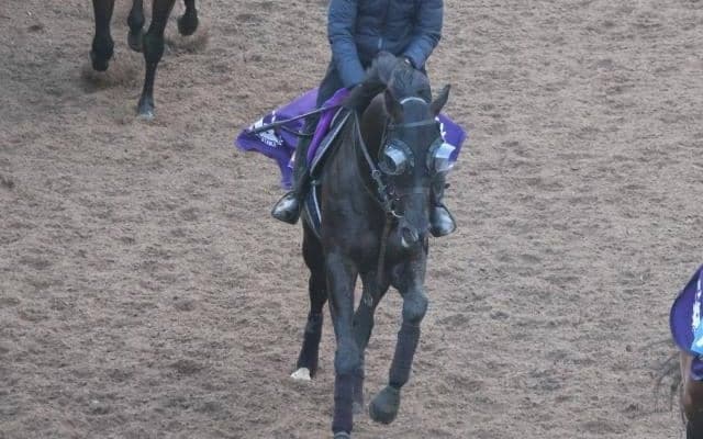 クロワデュノールなど、先週の入厩情報/栗東トレセンニュース