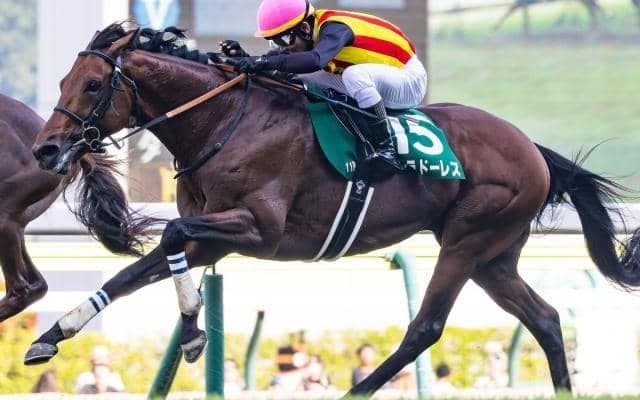 【金鯱賞】重賞で4戦連続2着のドゥラドーレス 今度こそ初タイトル獲得なるか