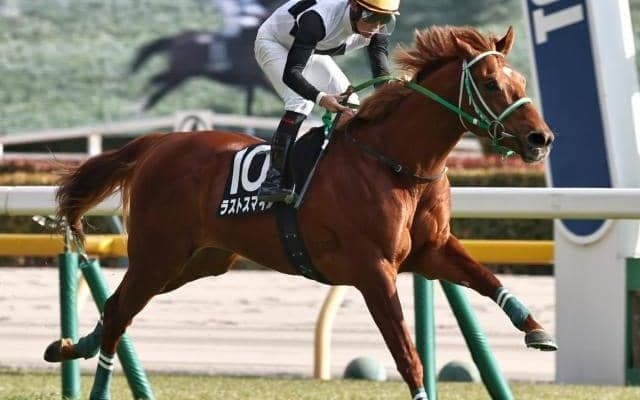 【スプリングS】本間忍調教師が10年ぶりの重賞制覇へ ラストスマイルで参戦