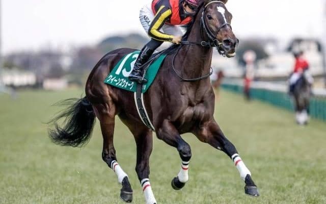 【金鯱賞予想オッズ】クイーンズウォークが予想1番人気